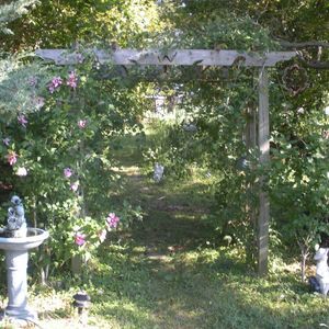 Meet your Posher, Patricia